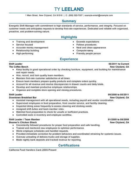 Management Resume Summary: 15 Examples and Writing Tips .